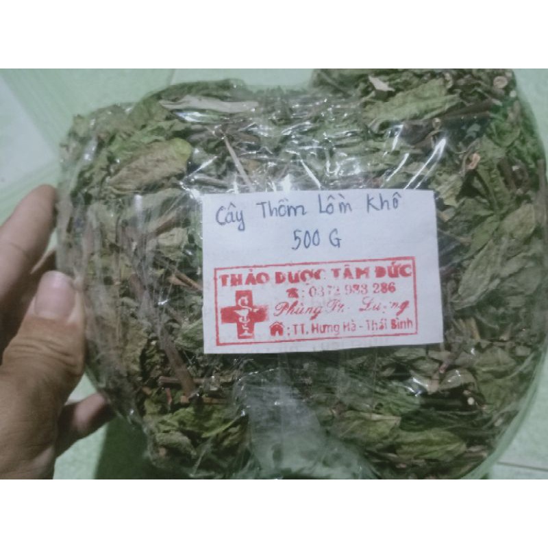 1KG Cây Thồm Lồm