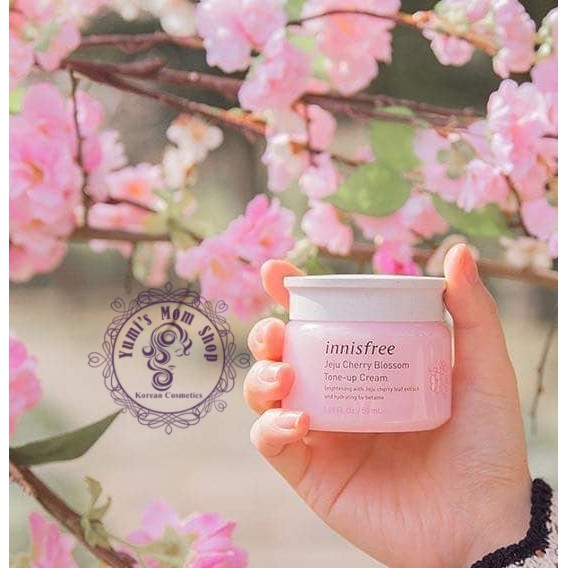 Kem dưỡng nâng tone Innisfree Jeju Cherry Blossom Tone Up Cream