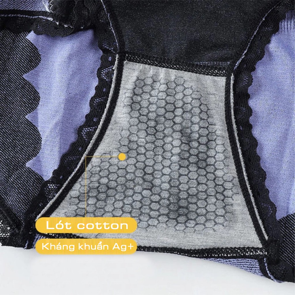 QUẦN LÓT NỮ GÂN TĂM CẠP CAO VIỀN REN - SIZE: M,L,XL- QUẦN CHIP REN CAO CẤP- FLQ69 | BigBuy360 - bigbuy360.vn