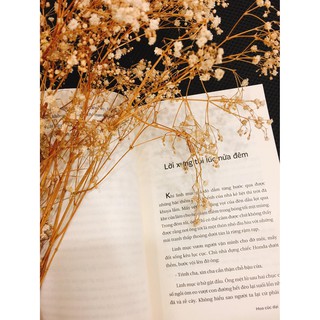 [NGÃ MÀU NGOẠI QUAN] Sách - Hoa Cúc Dại (Truyện ngắn) - Kim Ân