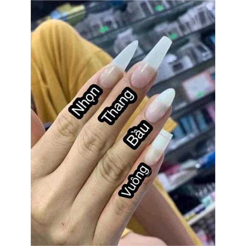 Móng úp HSM chính hãng loại nhám sẵn 2 mặt, hộp full size 500 móng không cần phào nhám bề mặt