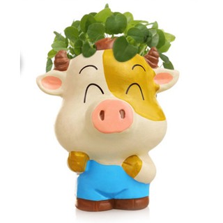Chậu hoa mini để bàn hình heo