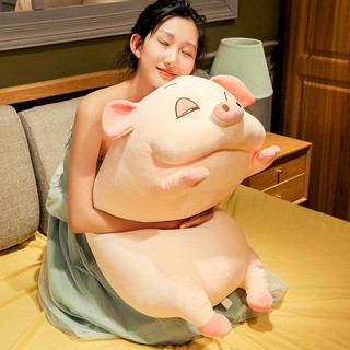 Heo Bông Mắt Ngủ Lim Dim Dễ Thương