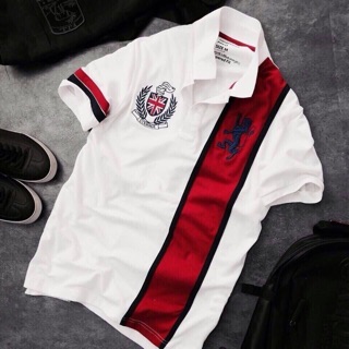 Áo thun giodrano polo vnxk cao cấp
