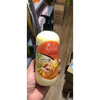 Dầu gội gừng Ginger Shampoo 500ml