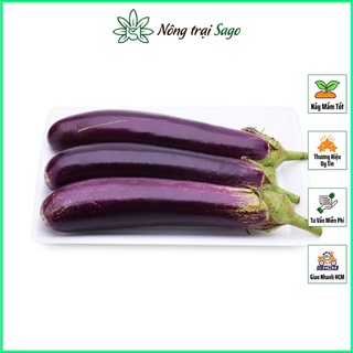 Mua Hạt giống Cà Tím (Cà Nâu) Quả Dài Năng Suất Cao  Trồng Quanh Năm (gói 0.5 gr) - Nông Trại Sago