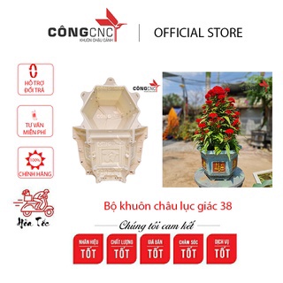Khuôn Đúc Chậu Xi Măng Lục Giác 38 Hoa Sen- Phúc- Lộc- Thọ- Tết- Tài- Lộc không chân đôn