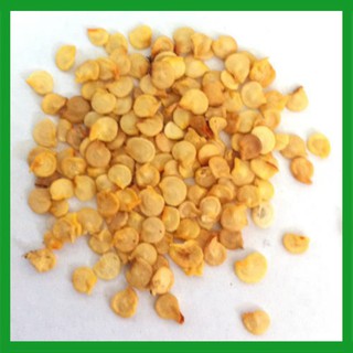 Hạt giống Cà Pháo