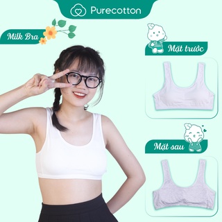 [Mã BMLT35] Áo lót học sinh Purecotton BIGSIZE 60-88kg cho bé gái chất cotton cao cấp dáng áo chui đầu có đệm mỏng PC011