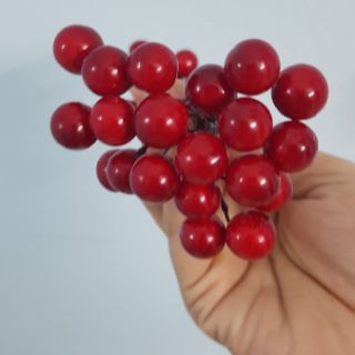 Combo cúc họa mi - hạt đào đỏ