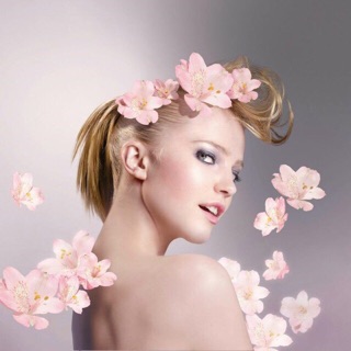 Kem nền Bourjois Flower Pềction Có Bông Mút