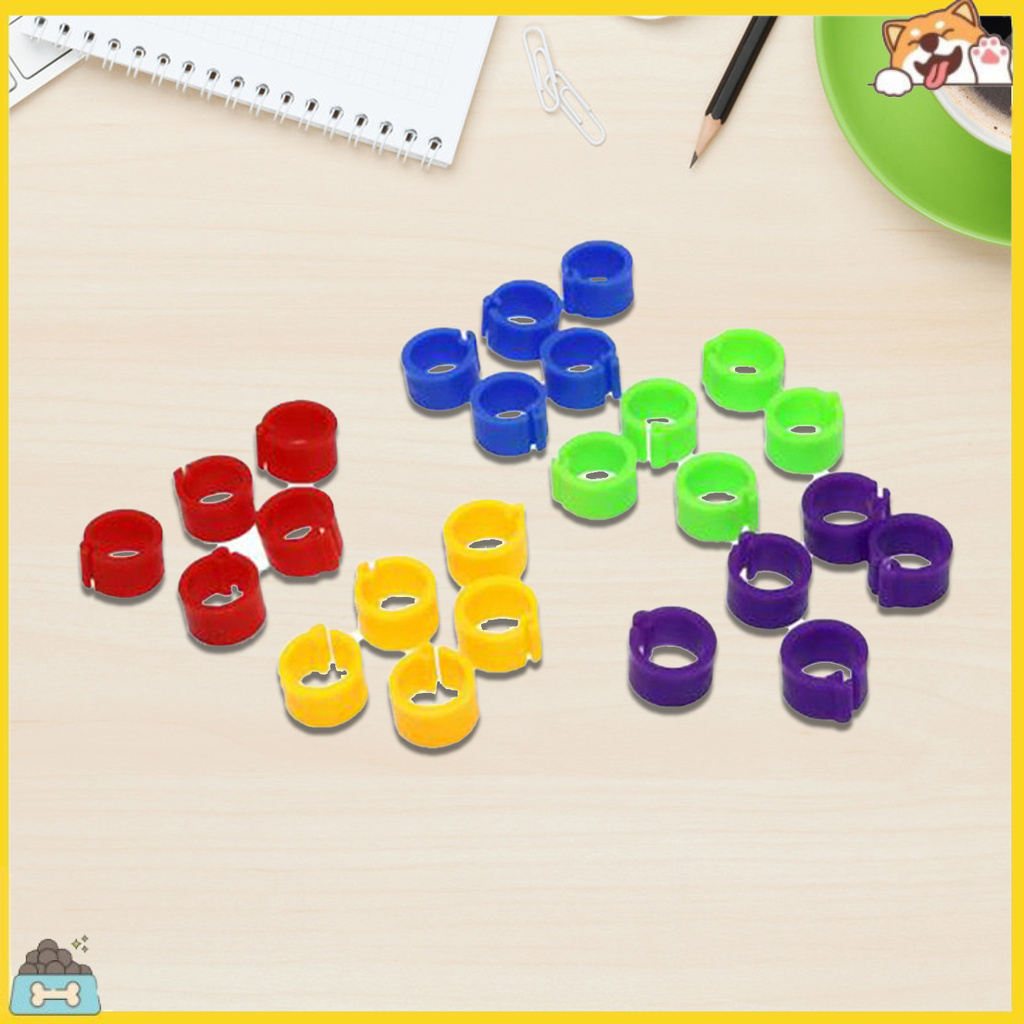 Set 100 vòng chân cho chim vẹt 8mm bằng nhựa tiện dụng