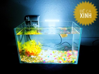 Set bể cá mini đèn led + lọc thác ( full combo)