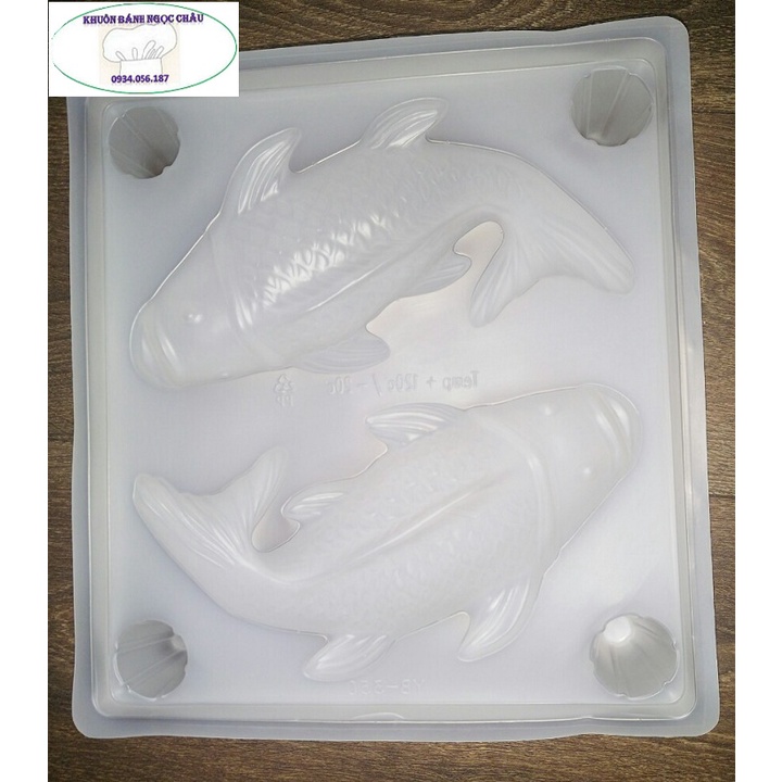 Khuôn hình đôi cá chép