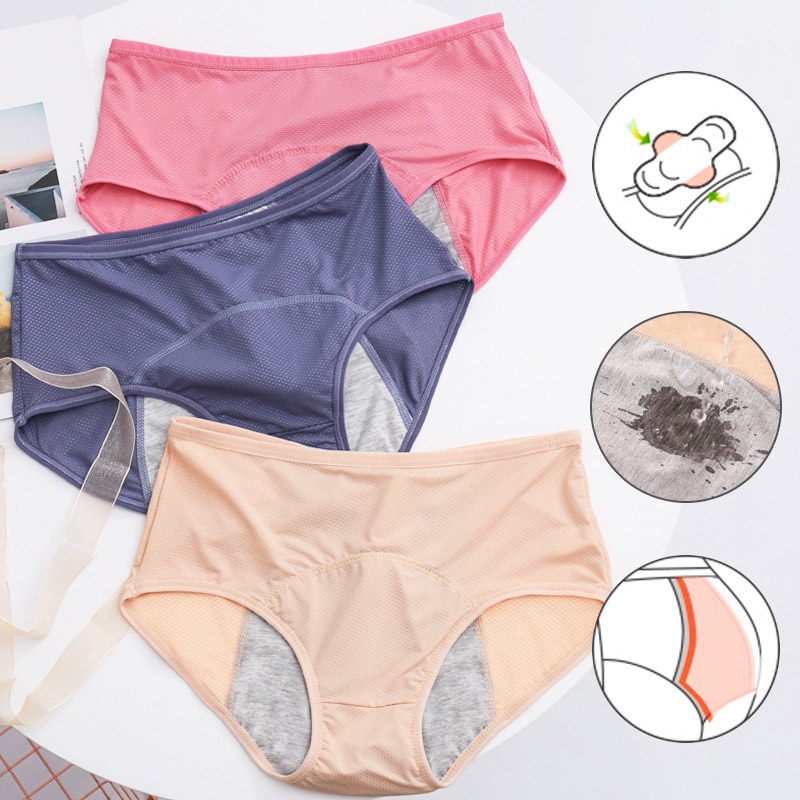 Bộ 3 Quần Lót Plus Size L-6XL