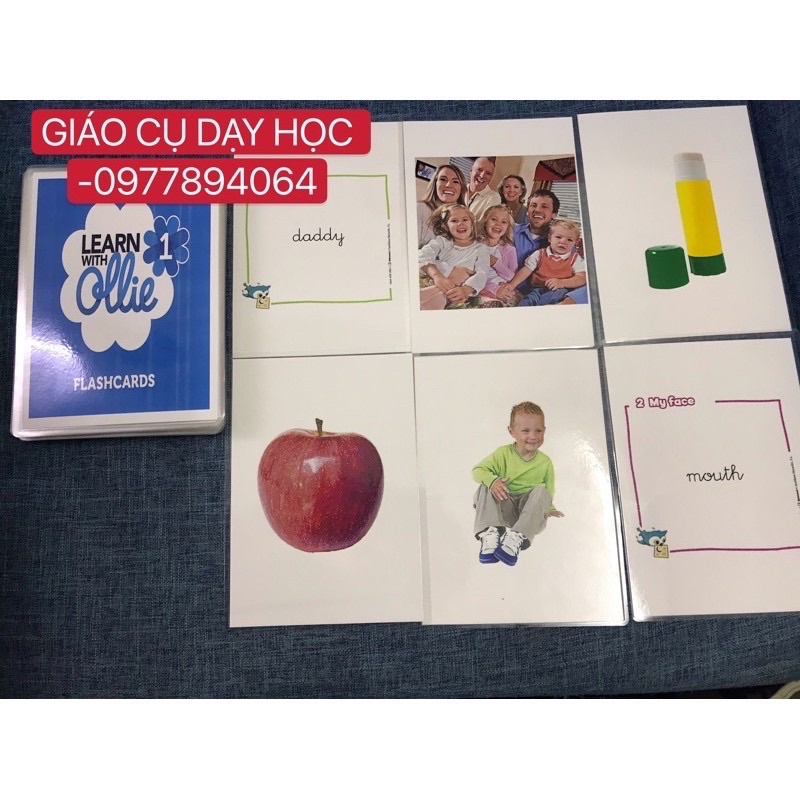 Flashcards  Learn with Ollie Level 1-2-3 thiết kế 2 mặt ép plastics bền đẹp
