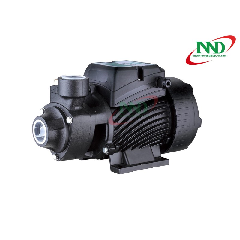 BƠM QB80 1HP 750W PUMPMAN | Máy bơm phun sương chuyên dụng cho hệ thống tưới vườn lan, vườn rau