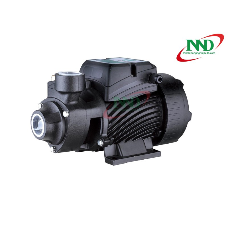 BƠM QB80 1HP 750W PUMPMAN | Máy bơm phun sương chuyên dụng cho hệ thống tưới vườn lan, vườn rau - PHỤ KIỆN TƯỚI GIÁ SỈ