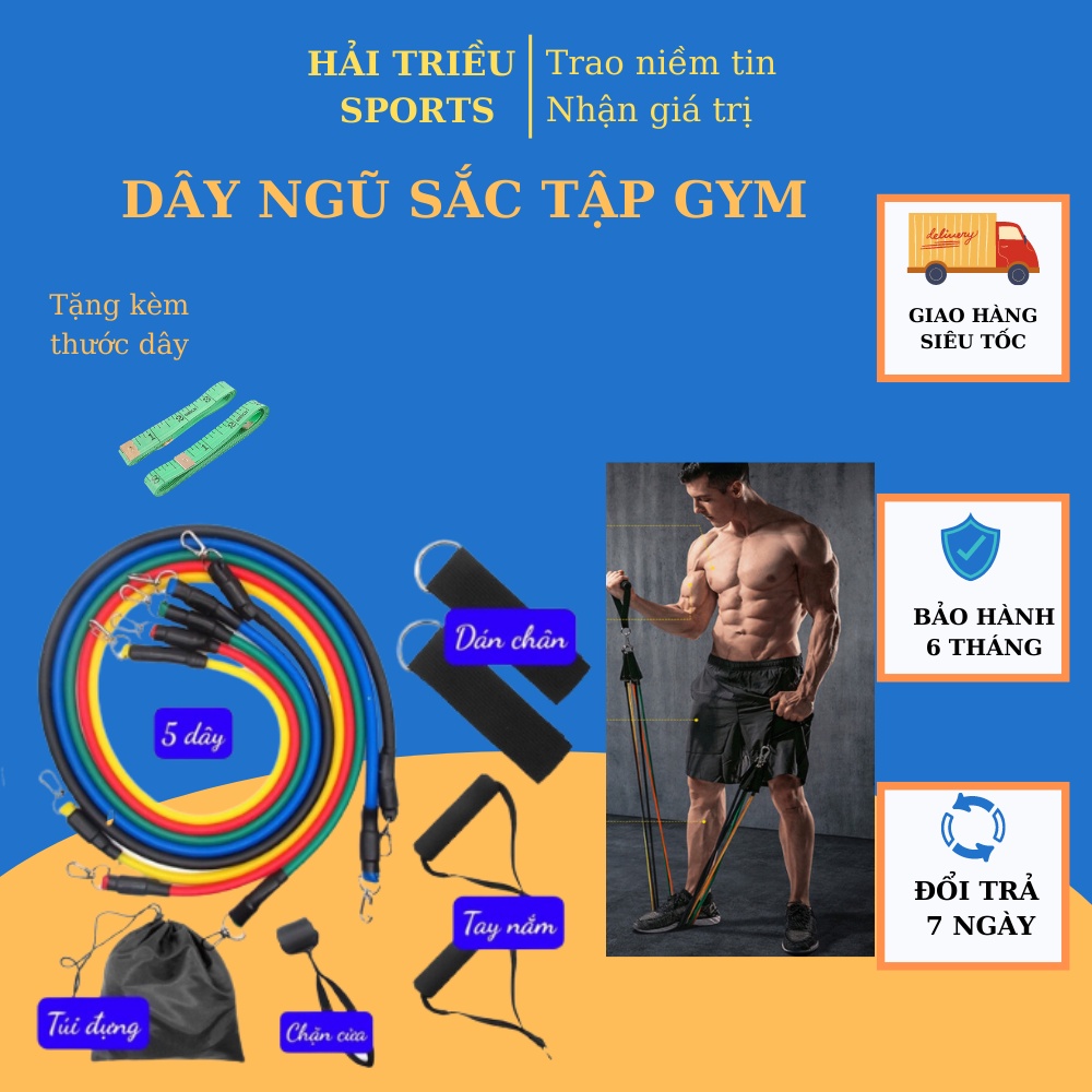 Dây kháng lực tập gym đa năng, dây ngũ sắc tập gym Hải Triều Sports