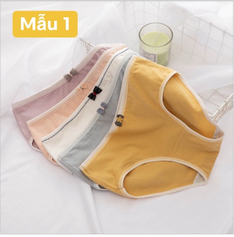 Quần Chip Nữ Cotton Đính nơ Màu Trơn Mềm Mịn Nâng mông kháng khuẩn tôn dáng Mediccal QL04 | BigBuy360 - bigbuy360.vn