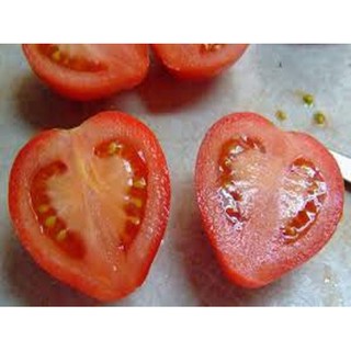 Gói 0.5GR hạt giống Cà Chua Trái Tim Đỏ
