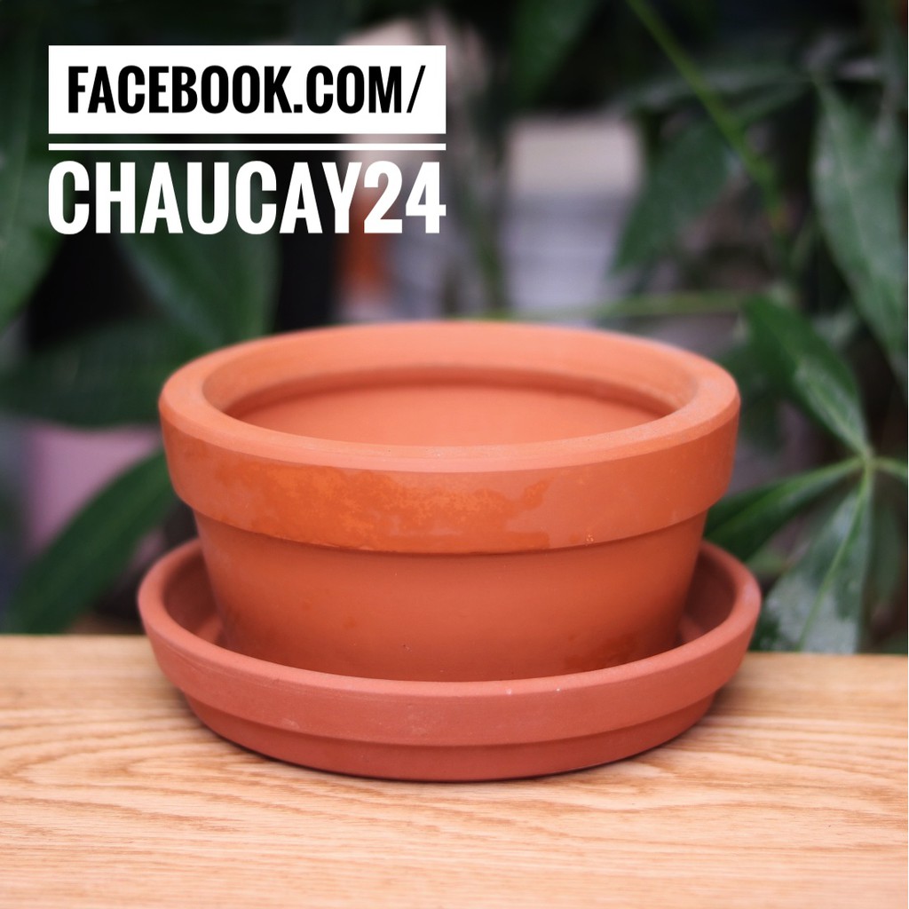 Chậu đất nung 14x7 cm (KÈM DĨA LÓT) trồng cây cảnh phong thủy, sen đá, xương rồng, terrarium