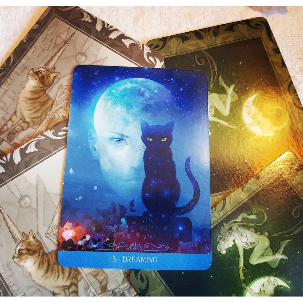 Bộ Bài Barbieri Fantasy Cats Oracle (Mystic House Tarot Shop) - Bài Gốc Authentic Chính Hãng 100%