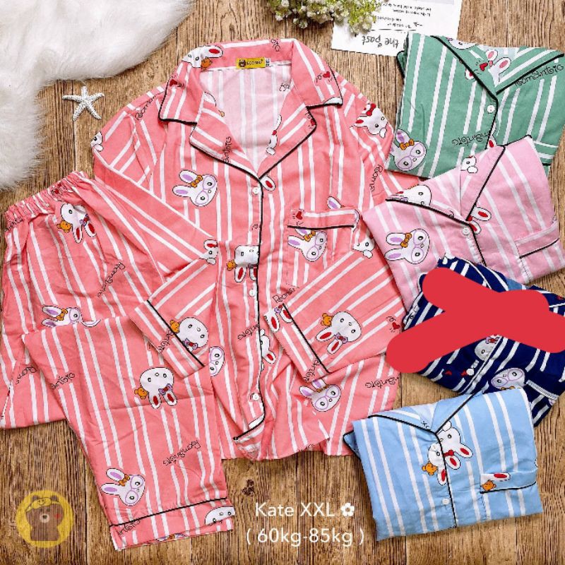 Bộ kate tdqd 65_85kg