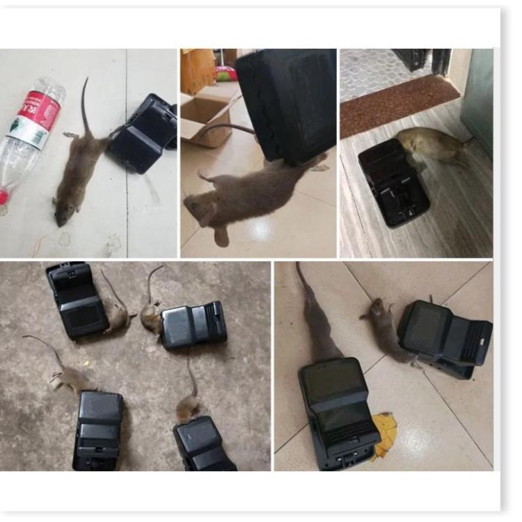 Bẫy chuột Bẫy chuột thông minh thiết kế theo xu hướng hiện đại, công nghệ mới, an toàn khi sử dụng 5438