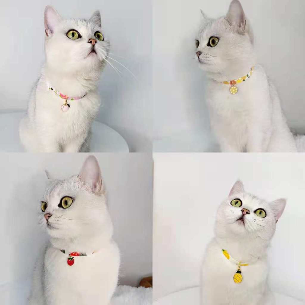 Vòng cổ mặt họa tiết dễ thương gắn chuông dành cho thú cưng