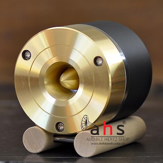 Siêu tép Fostex T900A, giá theo cặp