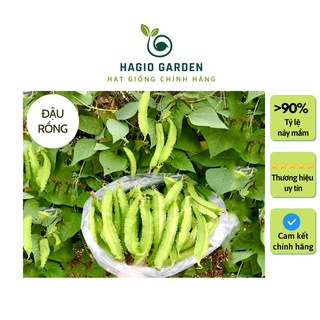 Hạt giống đậu rồng, đậu khế cao sản Rado 02 chính hãng Rạng Đông nhiều quả, hạt giống rau củ quả HAGIO