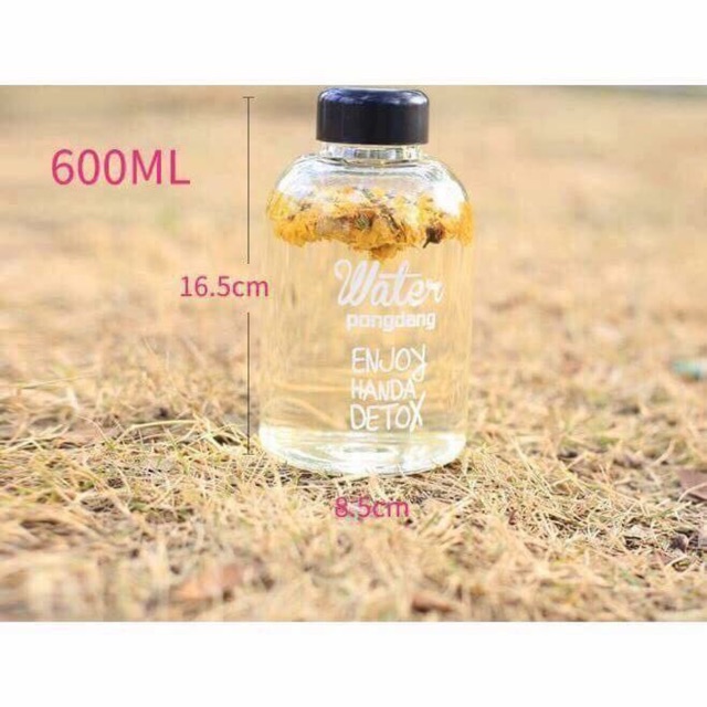 ( CHUYÊN SỈ SLL) DETOX HOA QUẢ SẤY KHÔ, tặng bình nhựa pongdang 600ml | BigBuy360 - bigbuy360.vn
