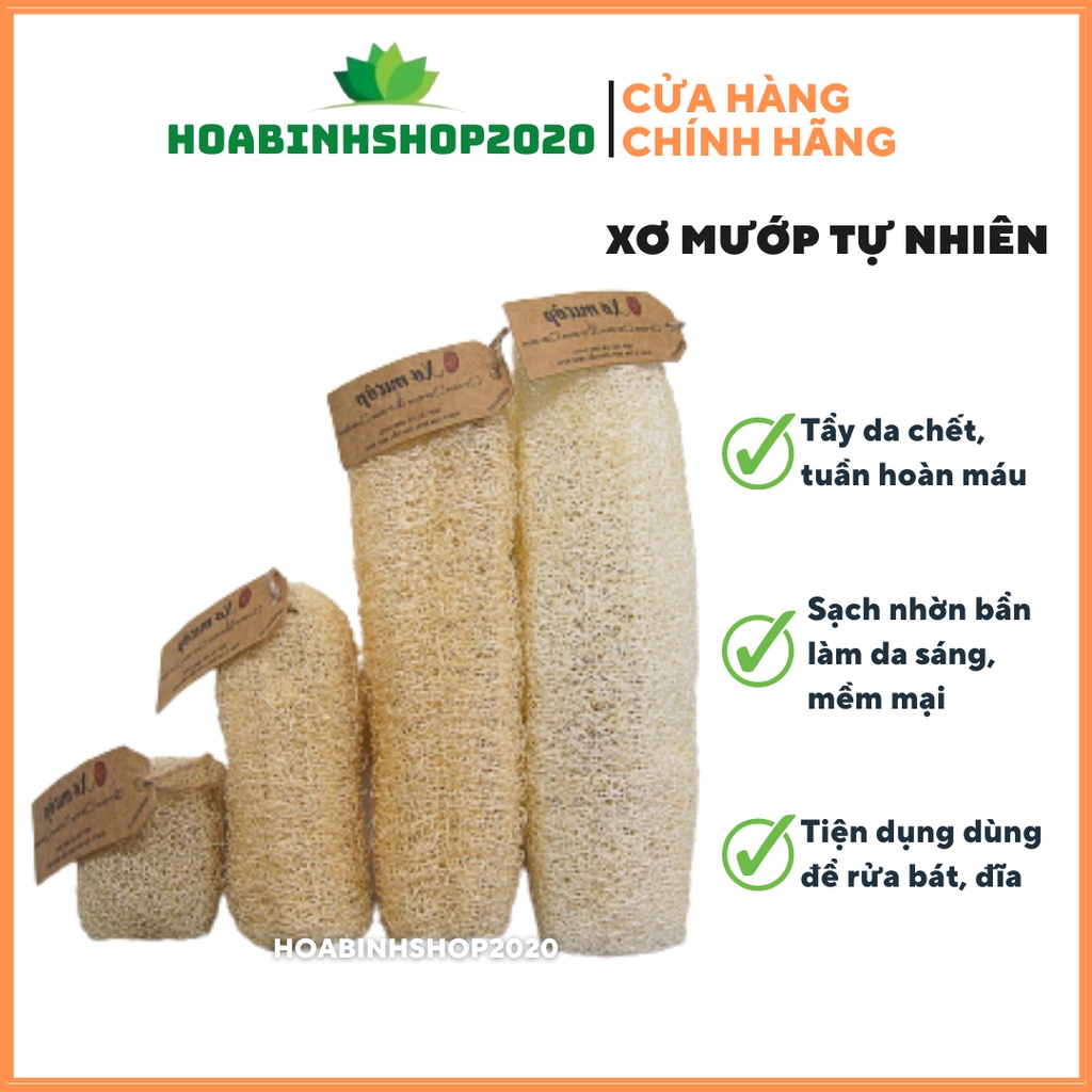 BÔNG TẮM XƠ MƯỚP HỮU CƠ HTX SINH DƯỢC( 10-15cm)