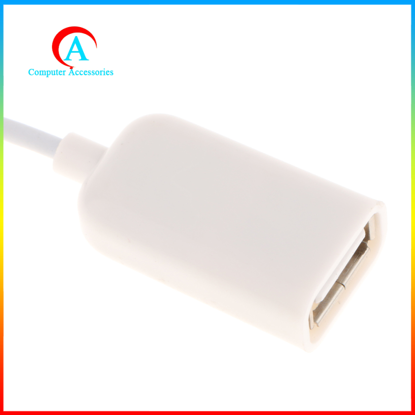 Cáp Chuyển Đổi Otg Cho Ipad Iphone Belpow 10.3 | BigBuy360 - bigbuy360.vn