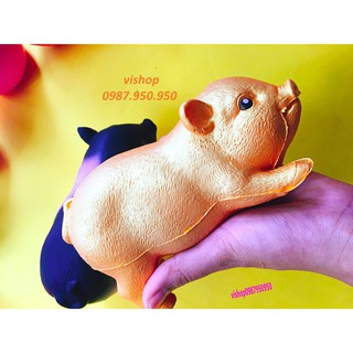 SquiShy HEO VÀNG  Wyiyi