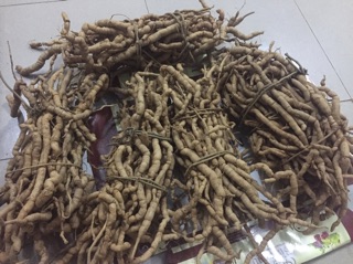 ba kích rừng