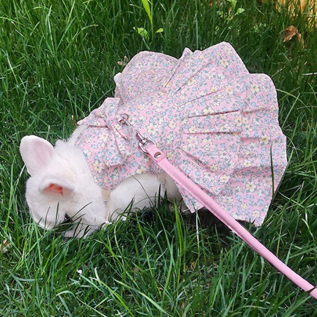 Mocho Đầm Cotton Nhẹ In Hoa Mềm Mại Kèm Dây Dắt Dành Cho Thú Cưng