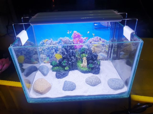 COMBO HỒ CÁ TRANG TRÍ SẴN 1 NÚI 24X15X15CM