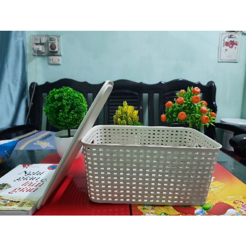 Giỏ Đựng Đồ Có Nắp Hàn Quốc Song Long Cỡ Bé 2572 - Duonghieu6789