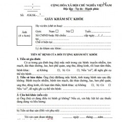 Mẫu đơn xin việc - khám sức khỏe - sơ yếu lý lịch - Hợp đồng lao động tiếng Việt