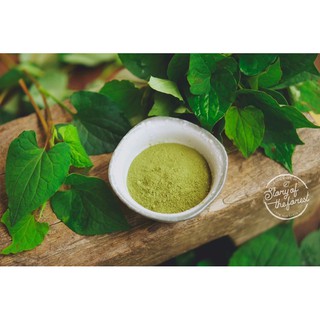 100gr Bột diếp cá sấy lạnh nguyên chất