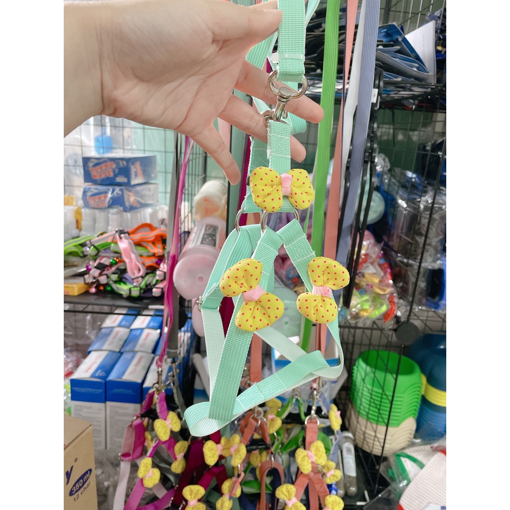 Dây Dắt Yếm Cho Chó Mèo Đi Dạo Hình Nơ Dễ Thương &lt;màu ngẫu nhiên&gt;