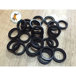 Phớt 15/22