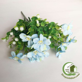 Bụi cây hoa lài tây màu xanh dương cao 33cm