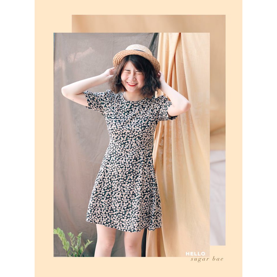ĐẦM HOA CÚC ĐEN