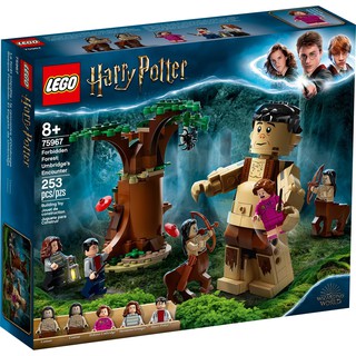 75967 Đồ chơi lắp ráp Iego Harry Potter  Forbidden Forest: Umbridge's Encounter - Bộ xếp hình