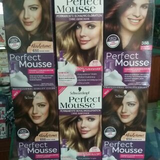 Thuốc nhuộm tóc dạng bọt Perfect Mousse