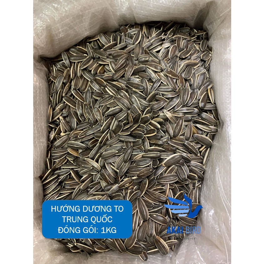 [1KG] Hướng Dương Hạt To Dành Cho Vẹt, Hamster, Sóc, Chim...