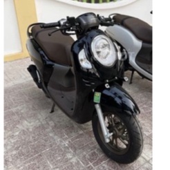 Mặt nạ/ ốp pha đèn Scoopy đời mới chính hãng honda